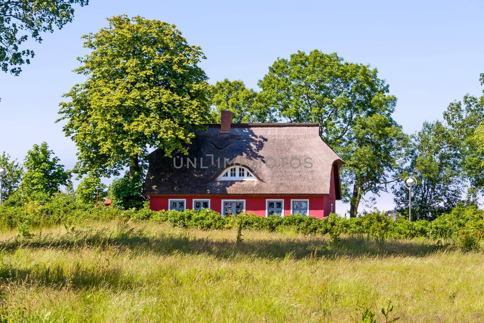 thatched-roof house with trees on a green meadow