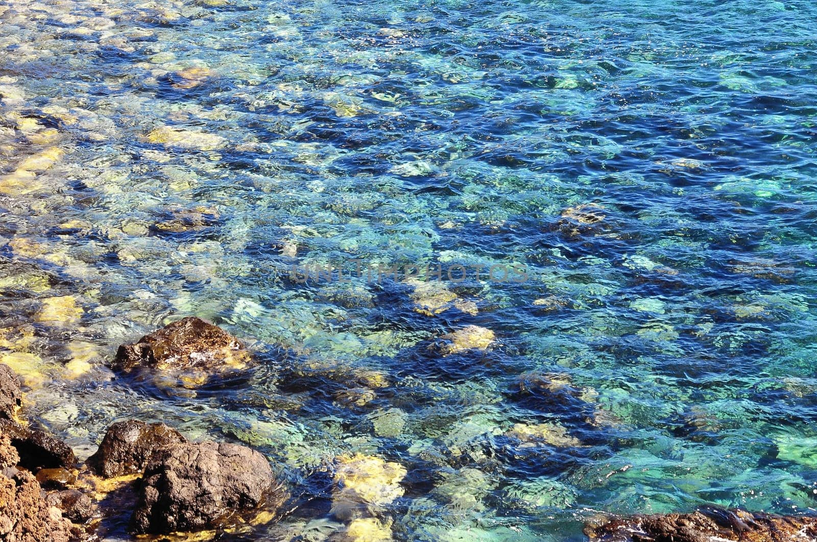 Blue Water Waves Texture on the Atlantic Ocean