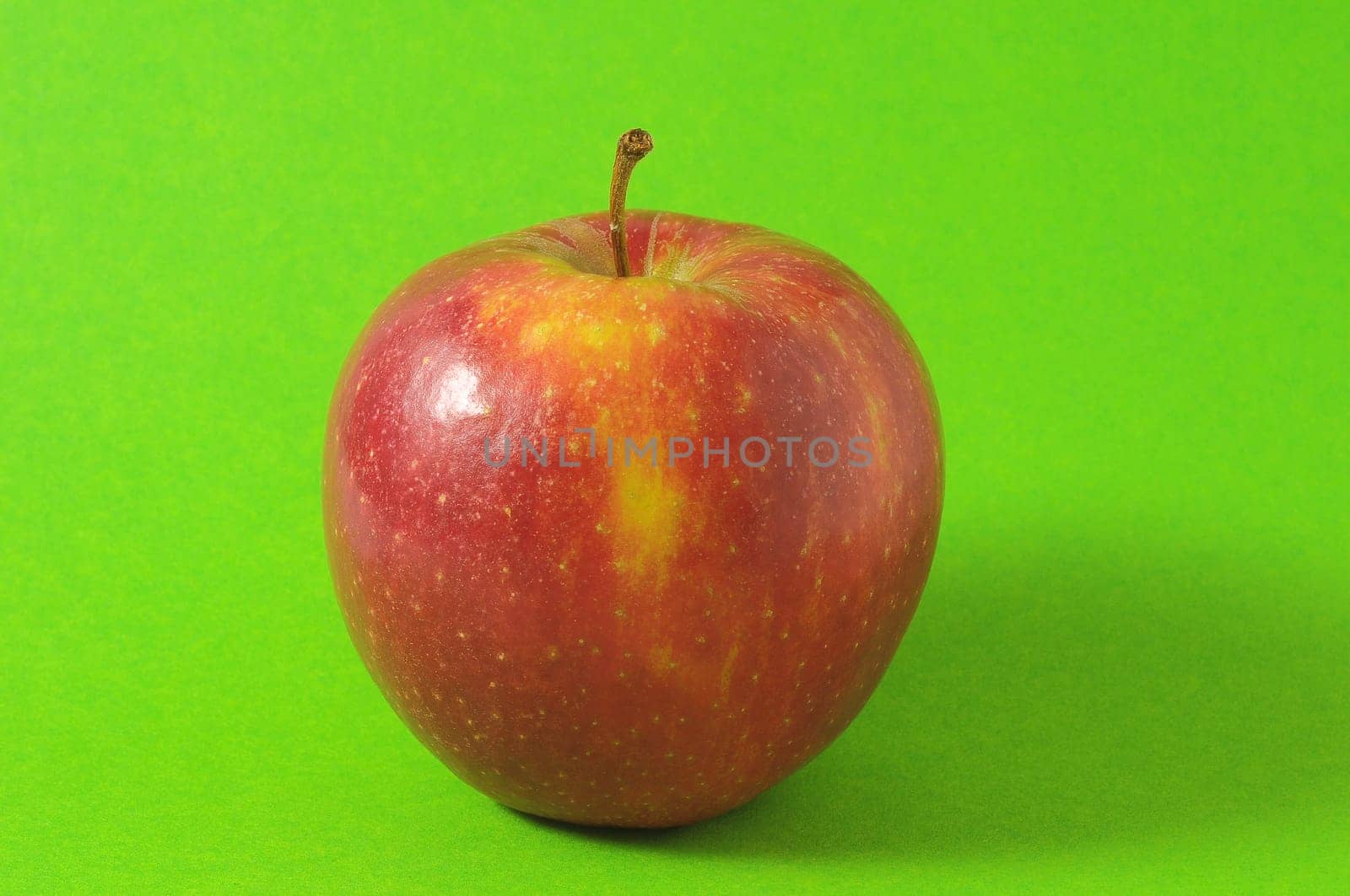 448aab6a-0425-4c7d-879e-dd01010bc488