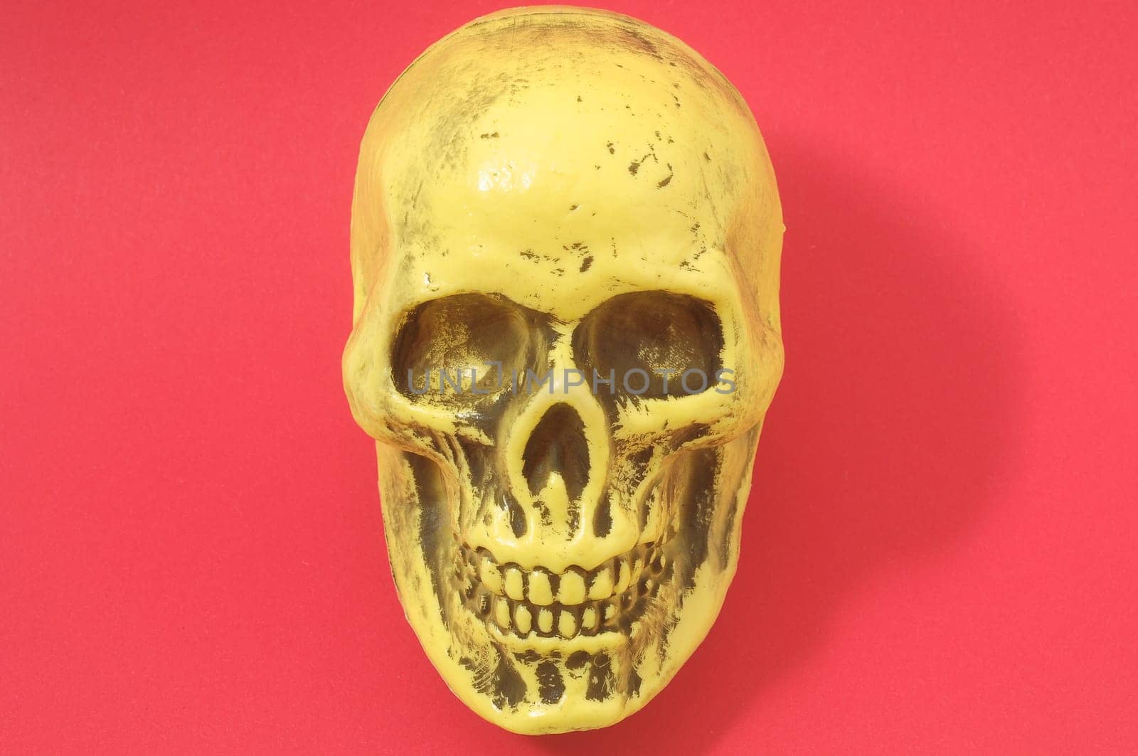 An Ancient Yellow Skull on a Colored Background