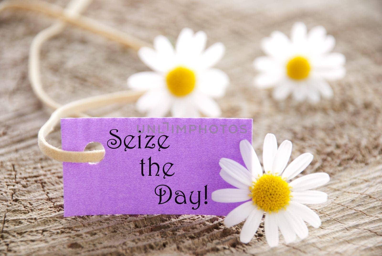 a purple label with white blossoms, copy space and background