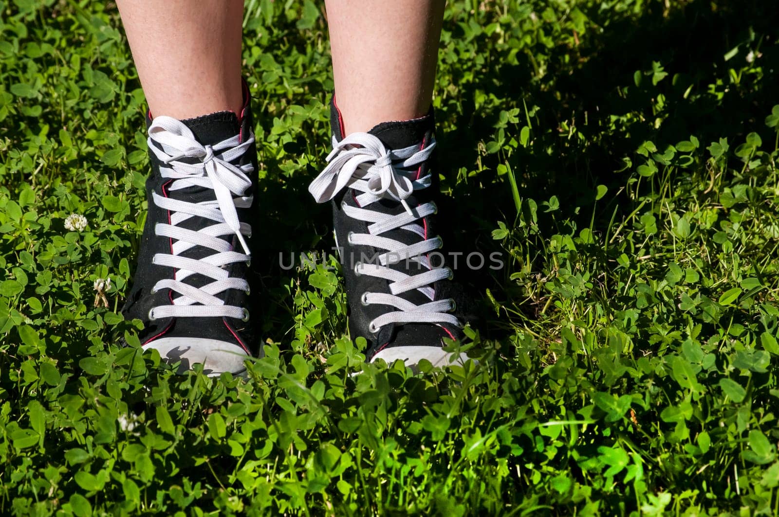 Girl legs with sneakers on fresh green grass background