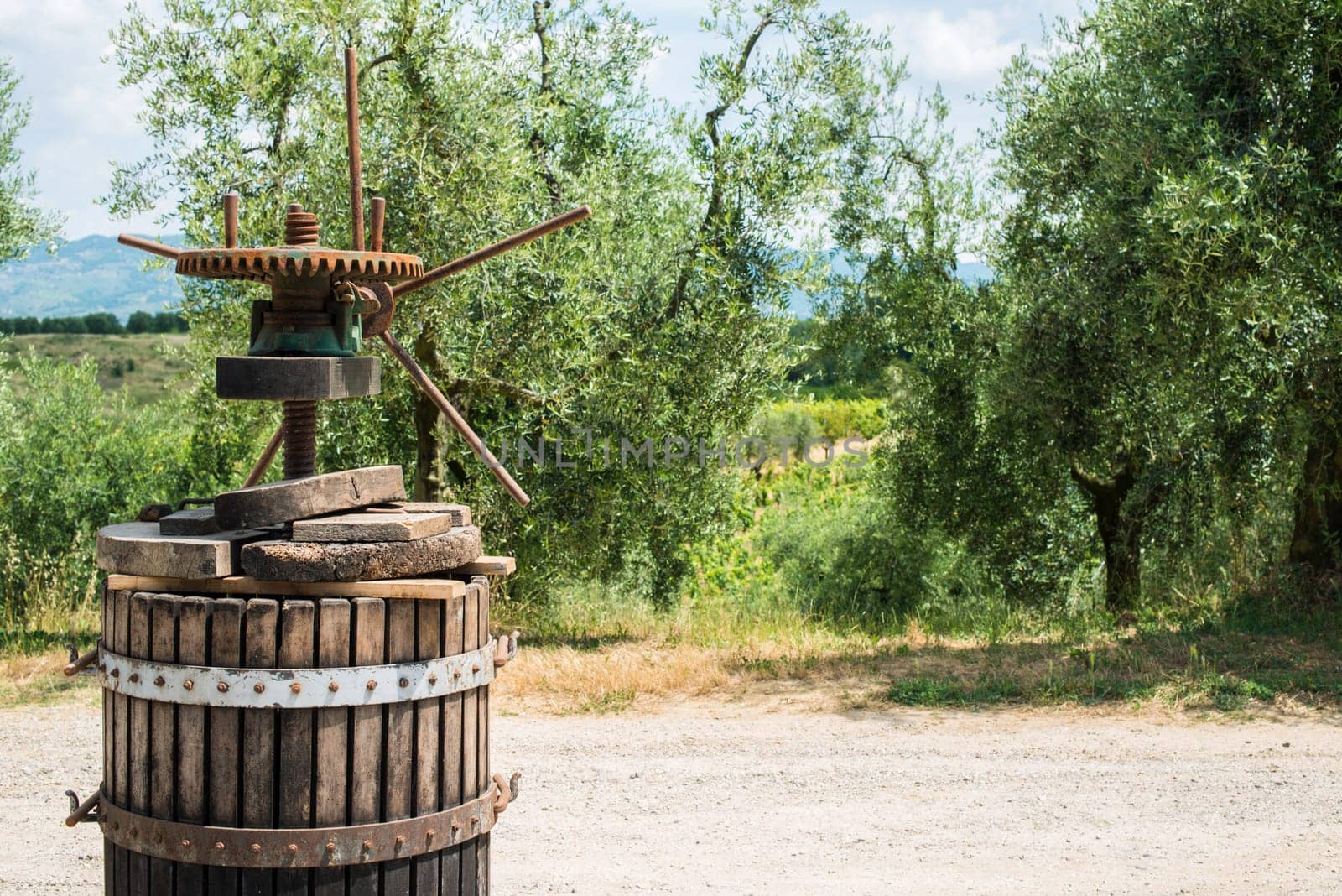 Vinatge olive press and olive trees on backgrund