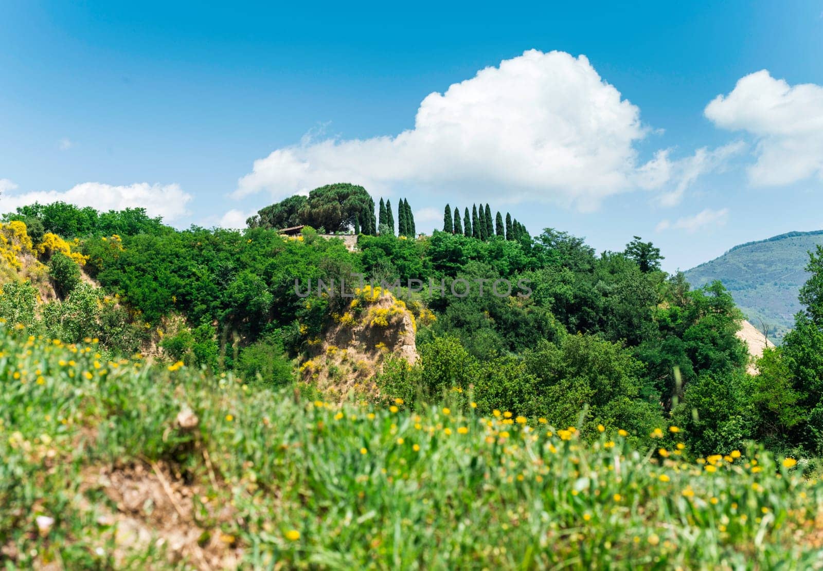 Tuscany landscape. Day light