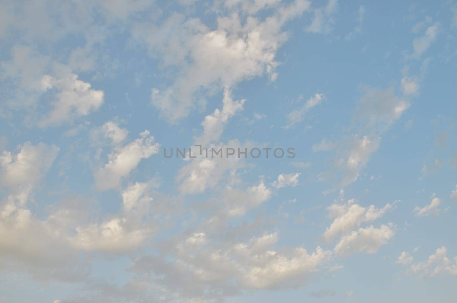 f782c724-94d6-4e55-84eb-911e516e59a0