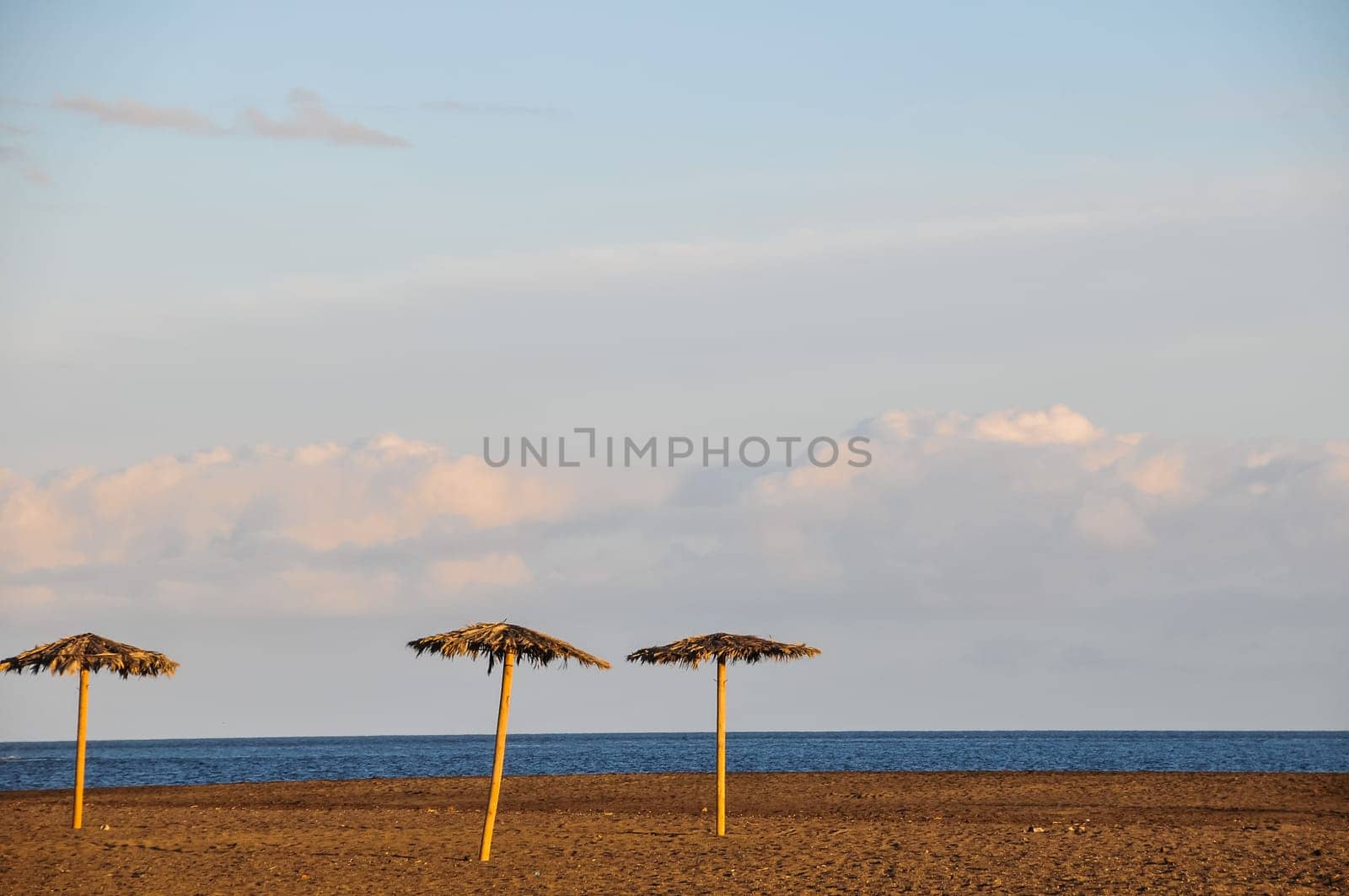 Beach Umbrella in Tenerife Canary Islands Spain Europe