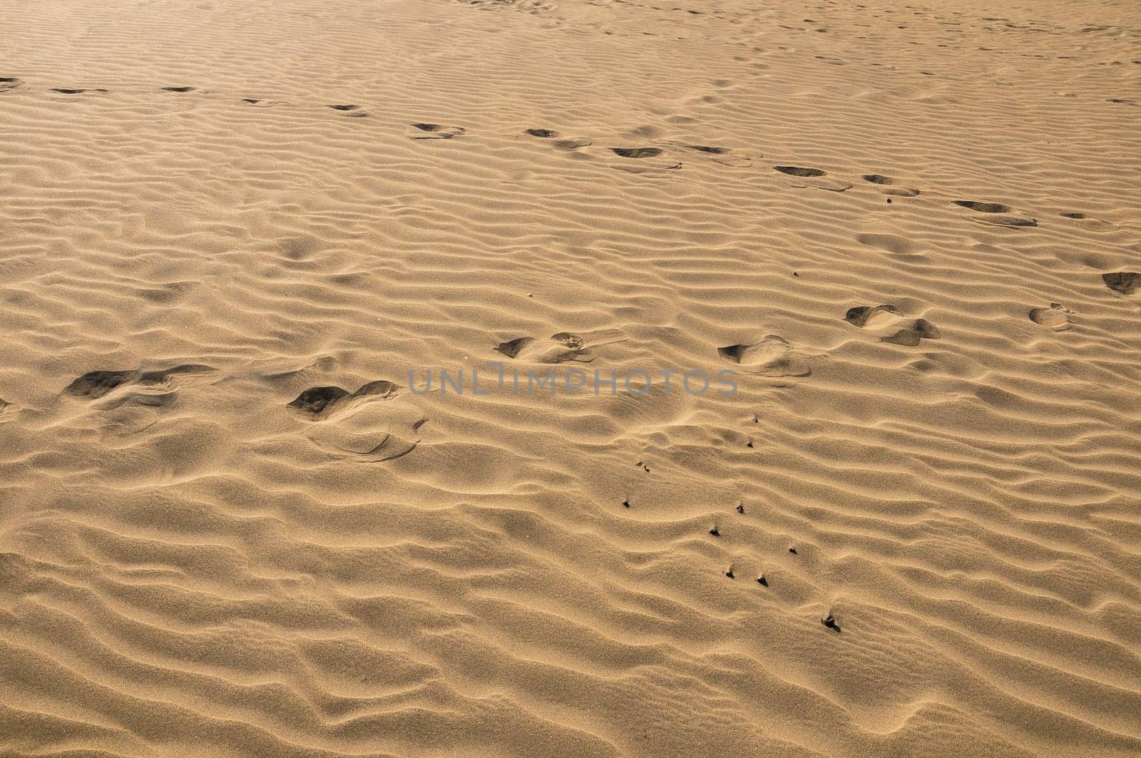 Texture Sand Dune Desert in Gran Canaria Island Spain
