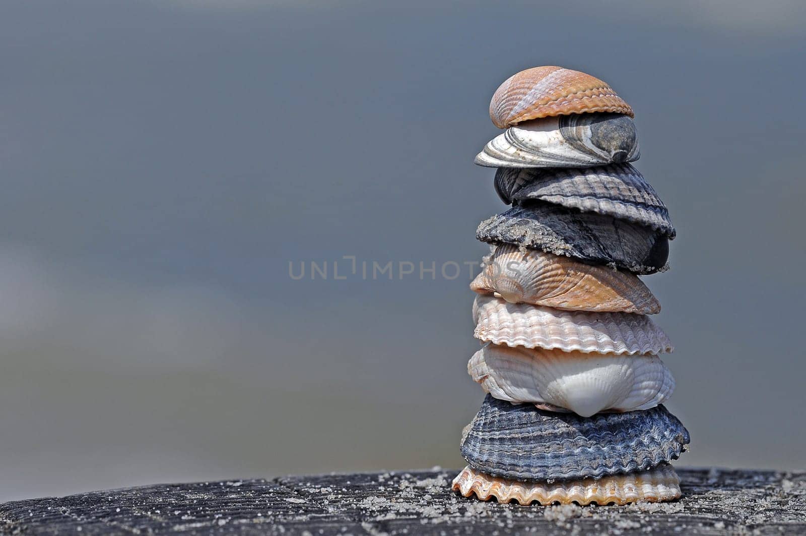 Shells