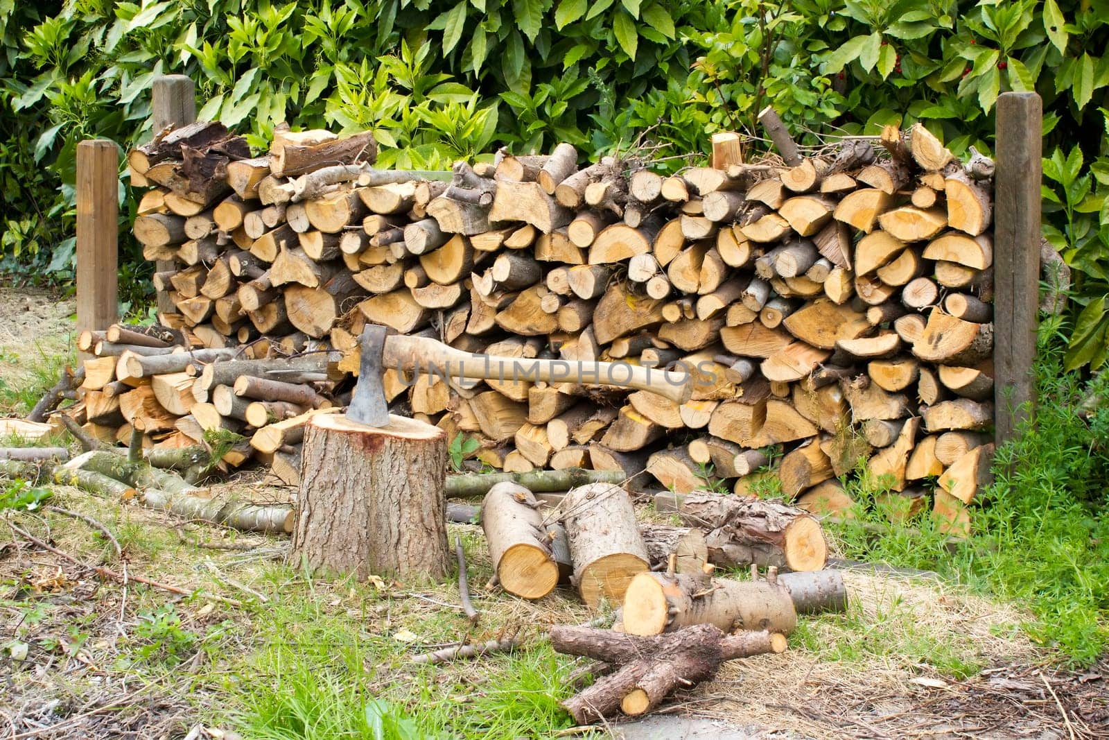 firewood in the garden