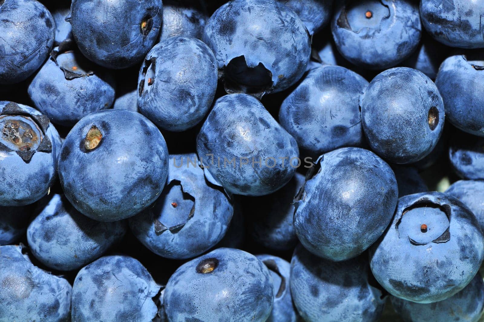Blueberries