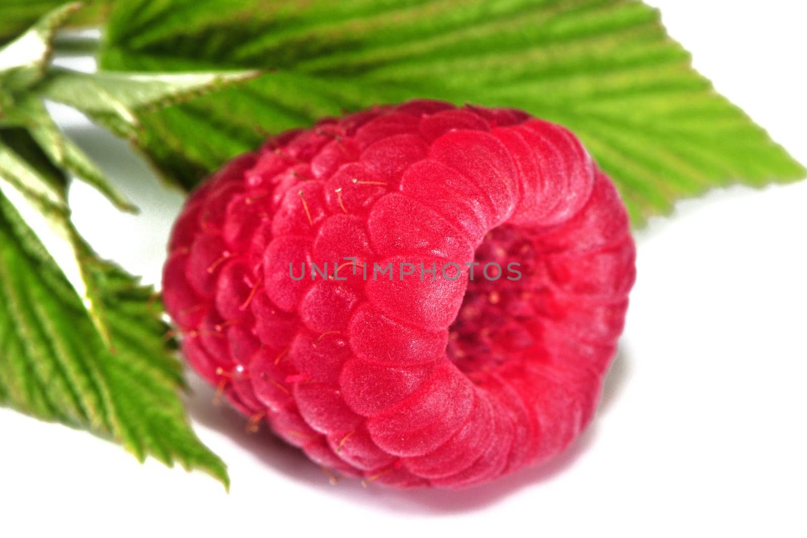 Raspberry