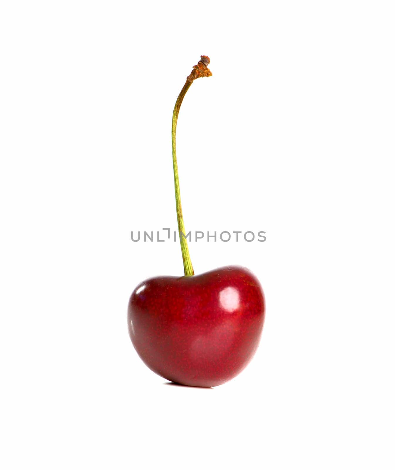 Cherry