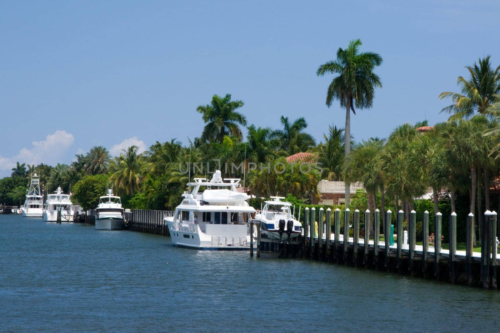 Fort Lauderdale,canal,river,residential area,residential settlement,community,yachts,ship,ships,large,luxury,wealth,white,house,villa,estate,boat,pier,anchor,harbor,pier,Florida,promenade,shore,stay,river,quay,cruise,excursion,too
