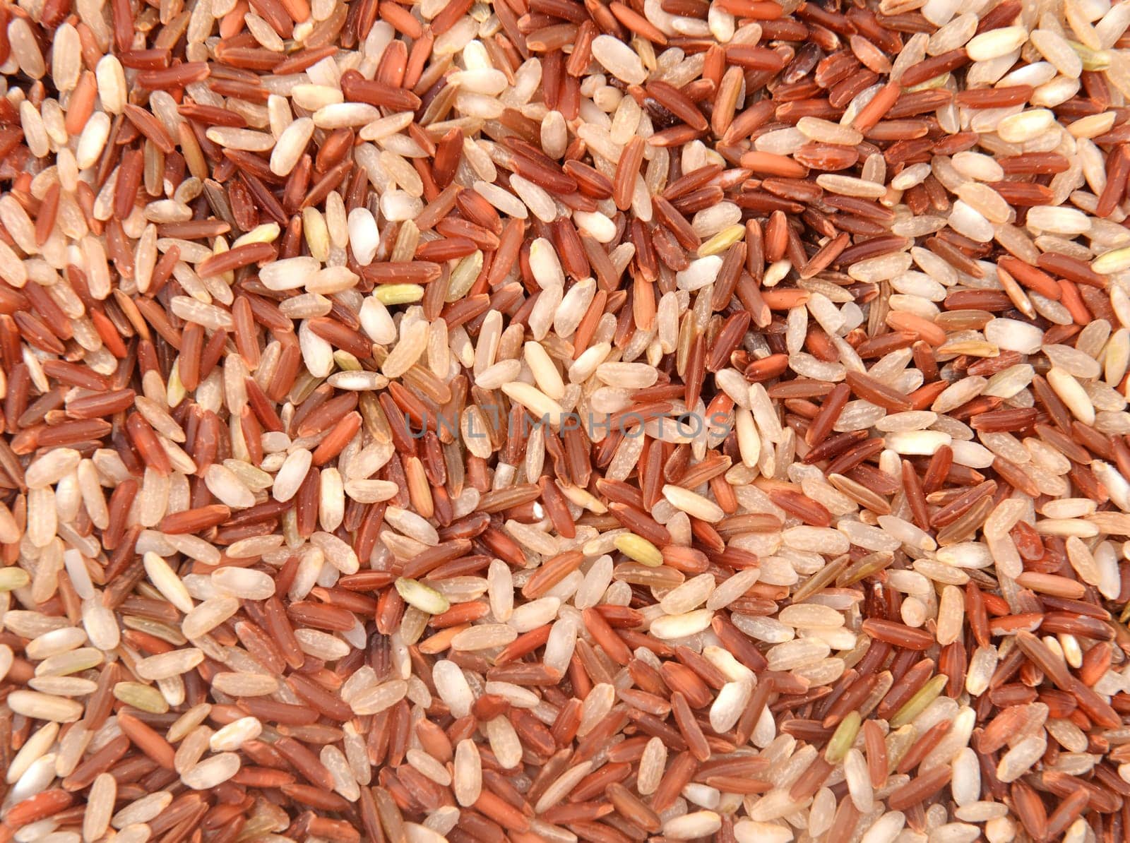 group of milled rice imperfectly cleaned