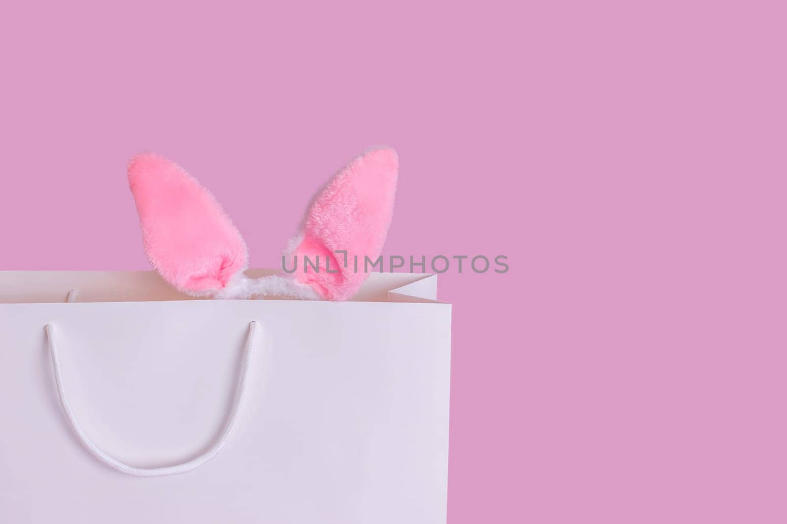 Close up of funny pink ears of the Easter bunny stick out of a white paper gift bag standing on a pink background. Copy space. Happy Easter concept