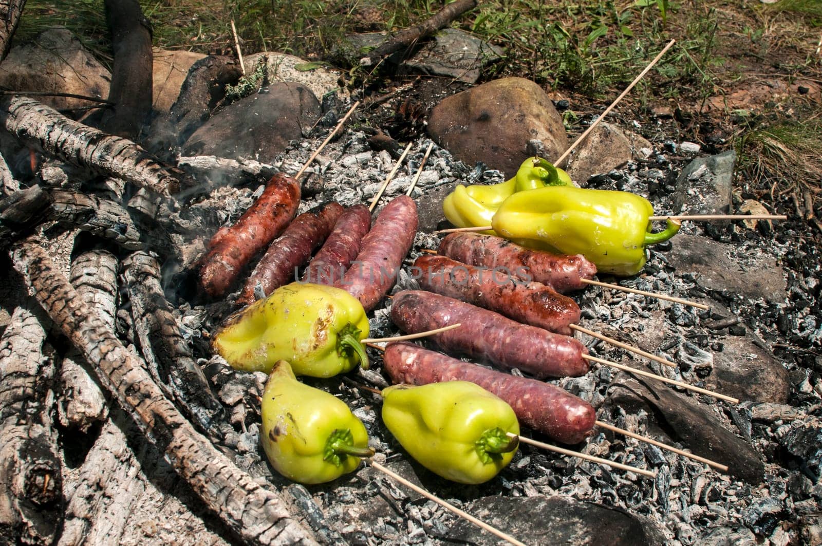 Raw sausages and peppers preparing on hot fireplace wood embers during picnic in forest meadow