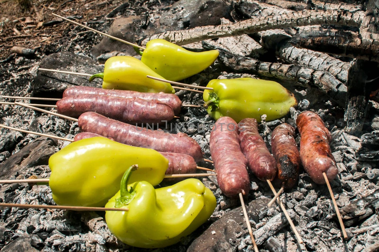Raw sausages and peppers preparing on hot fireplace wood embers during picnic in forest meadow