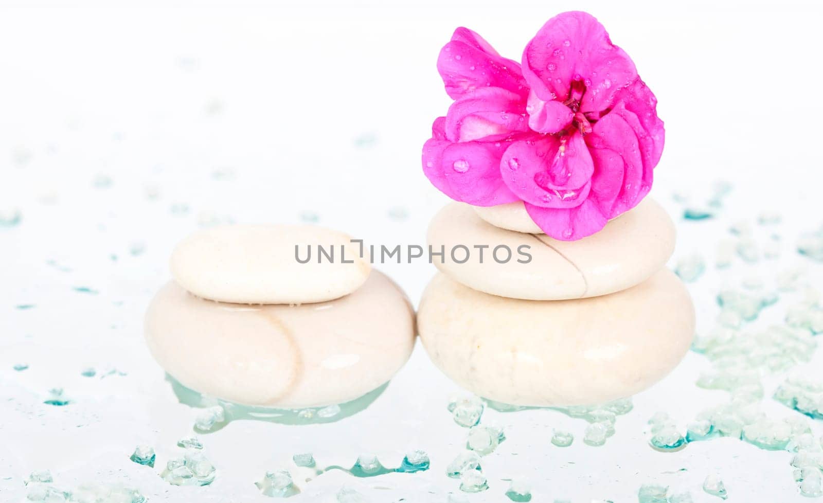 Spa stones and pink flower on white background