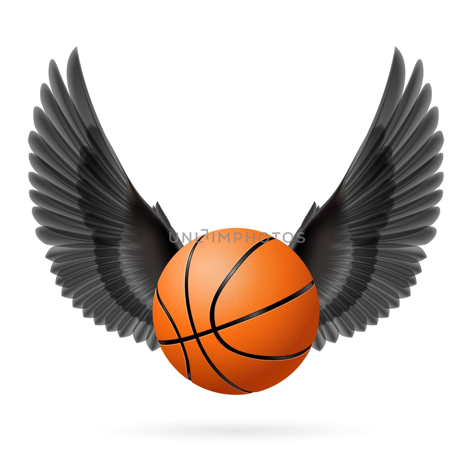 Black wings with  basketball  on  white background