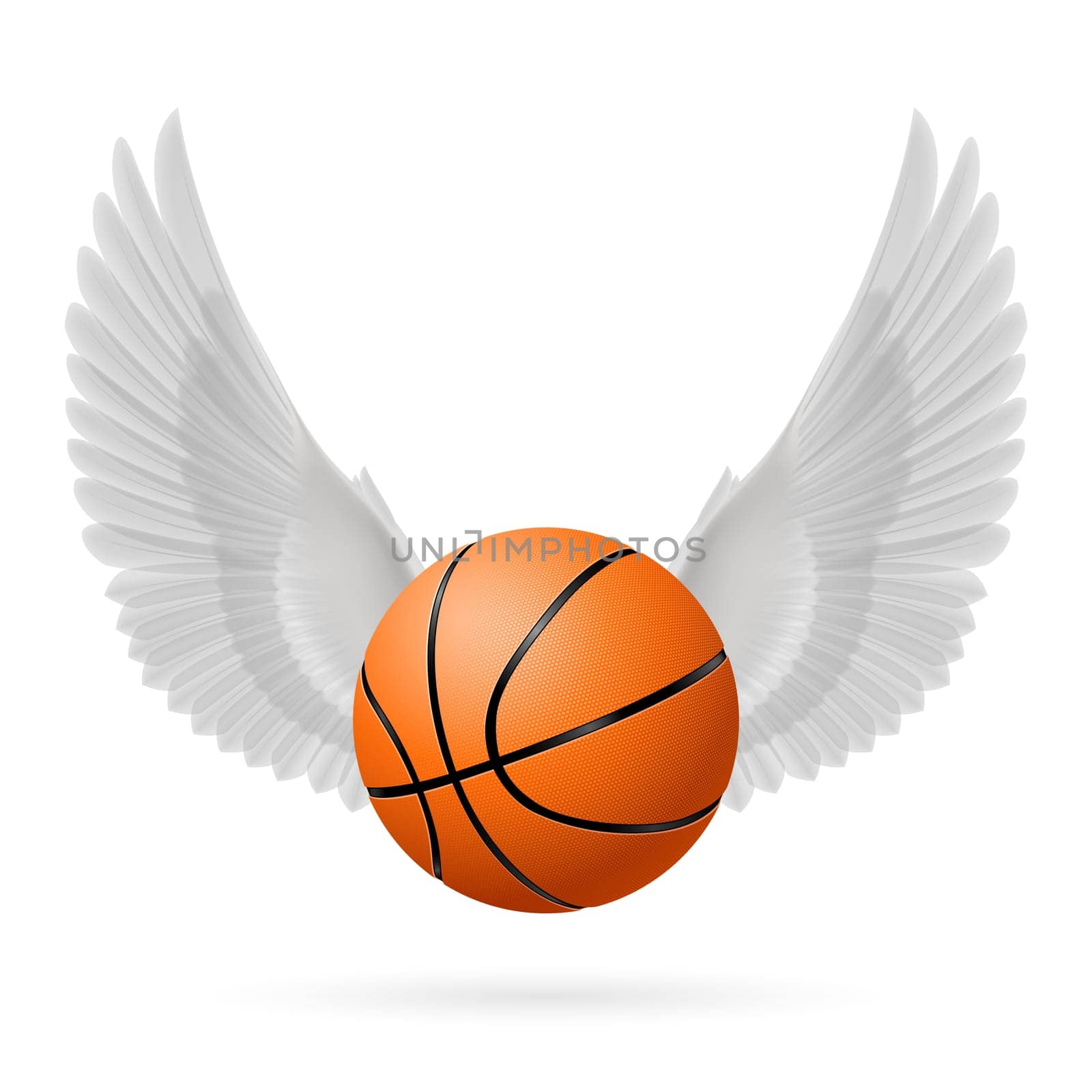 White wings with  basketball  on the white background