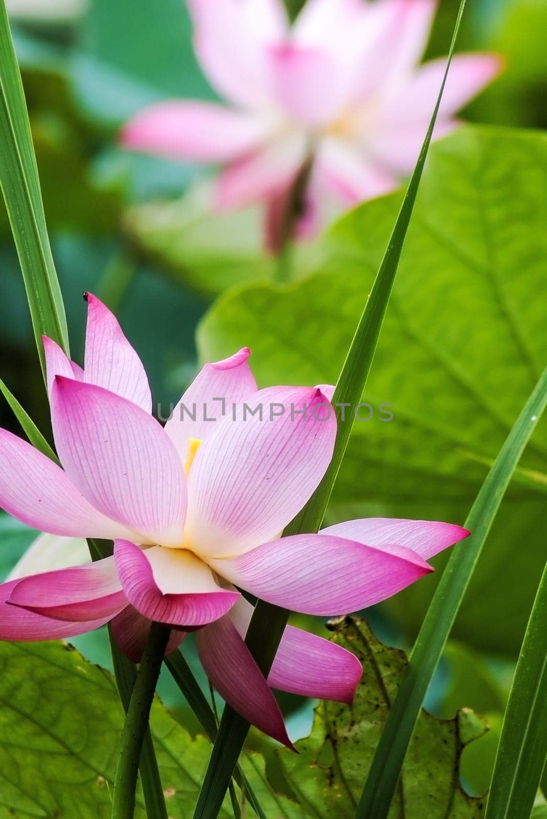 New Taipei City, Taiwan - June 30, 2014