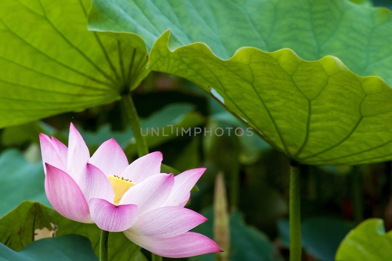 New Taipei City, Taiwan - June 30, 2014