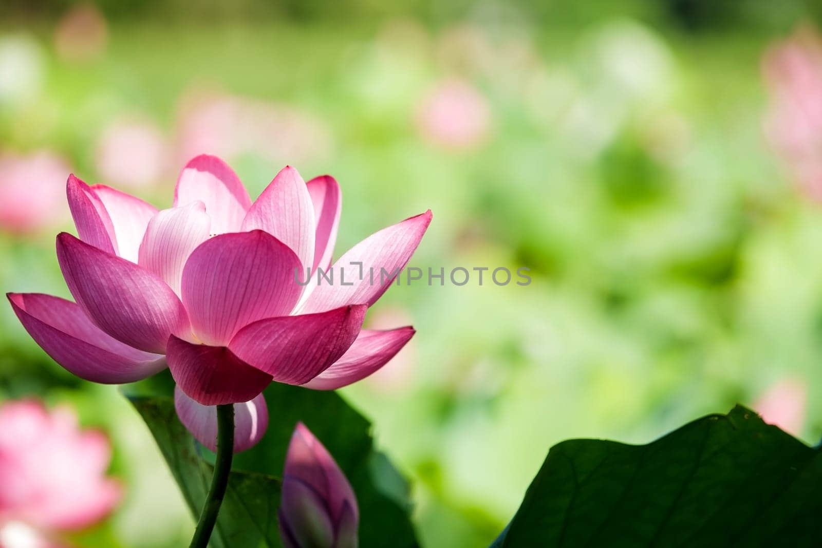 New Taipei City, Taiwan - June 30, 2014