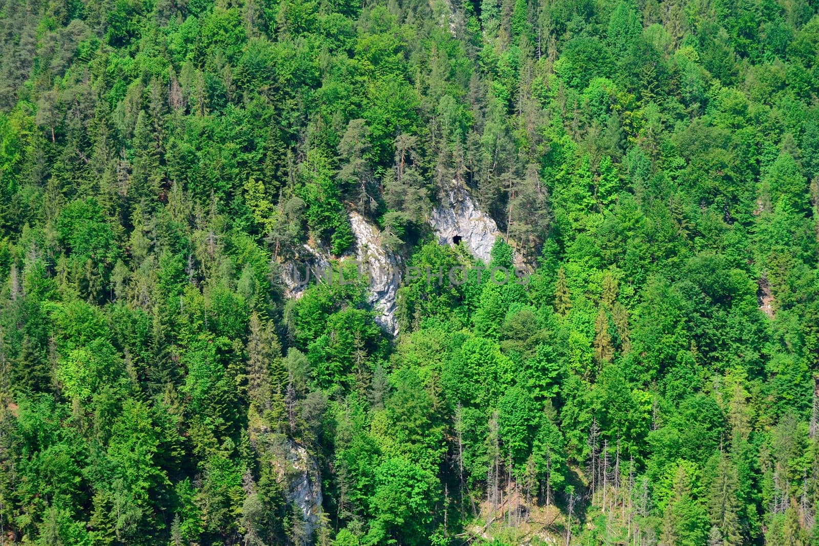 View from a cliff in Slovak Paradise