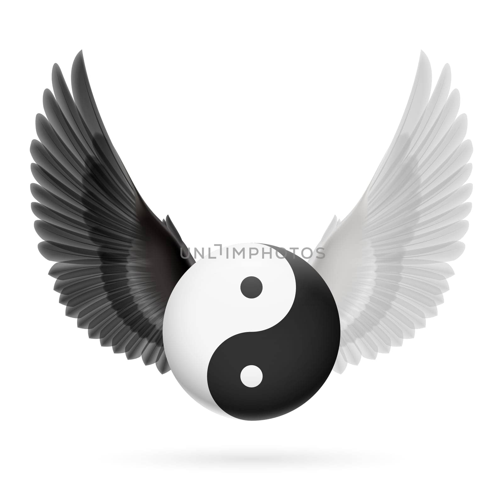 Traditional Chinese Yin-Yang symbol with black and white wings