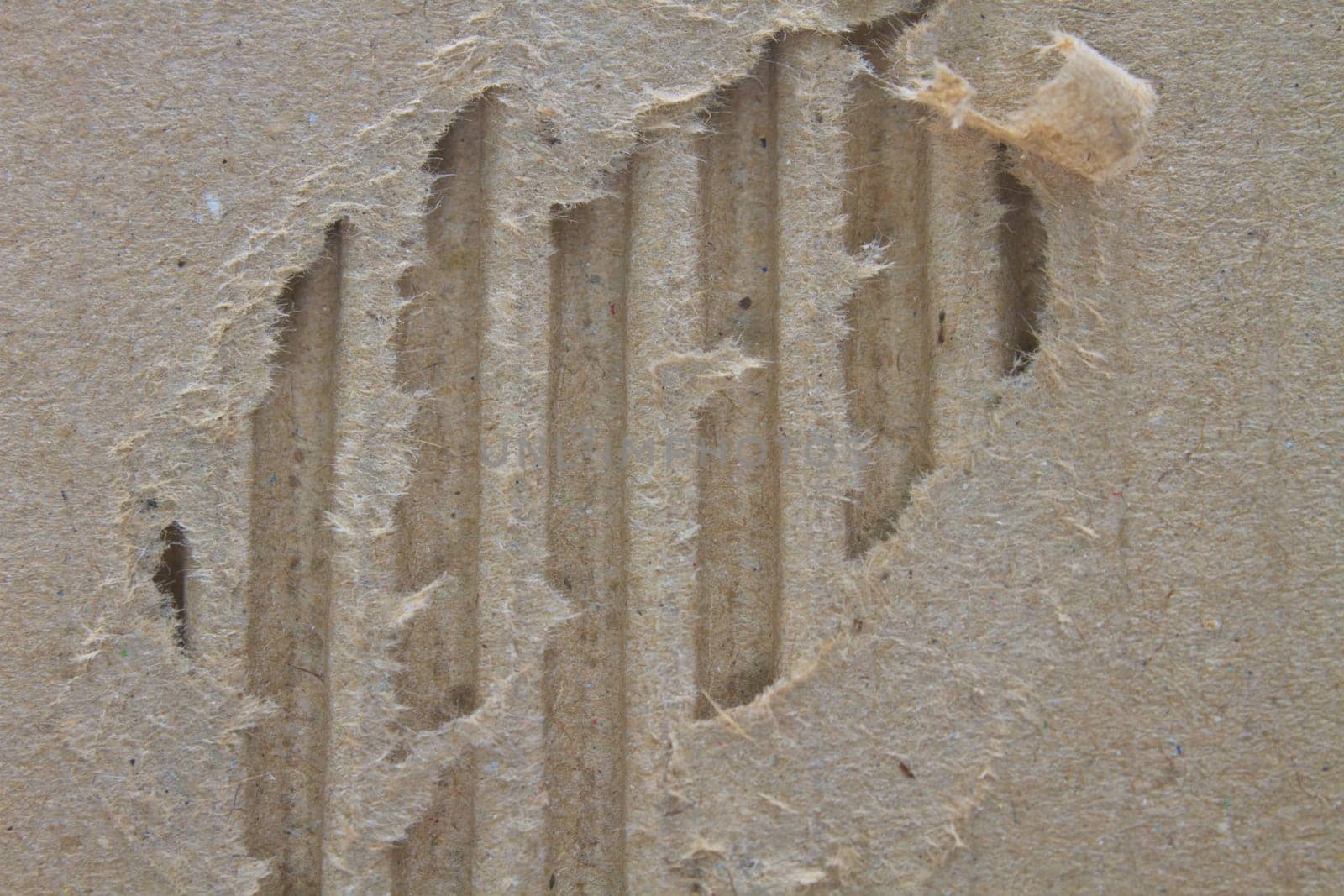 riped vintage paper on cardboard grunge background