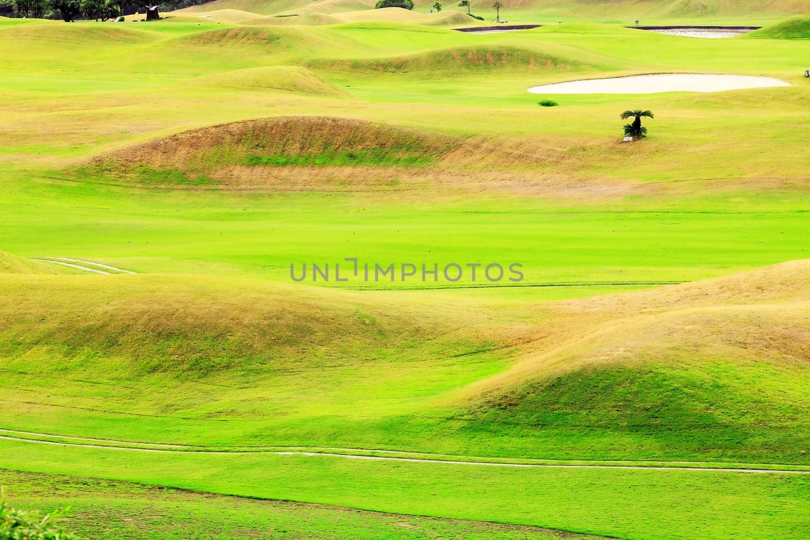 Beautiful golf place with nice background for adv or others purpose use