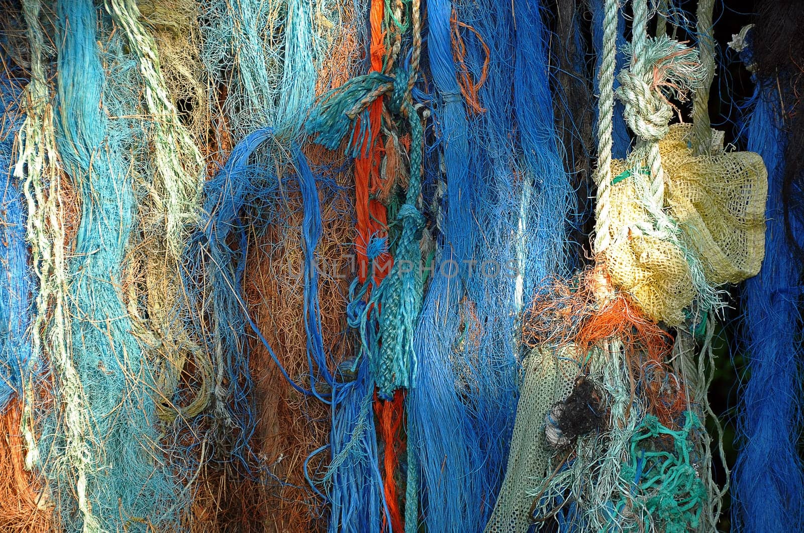 Fishing nets