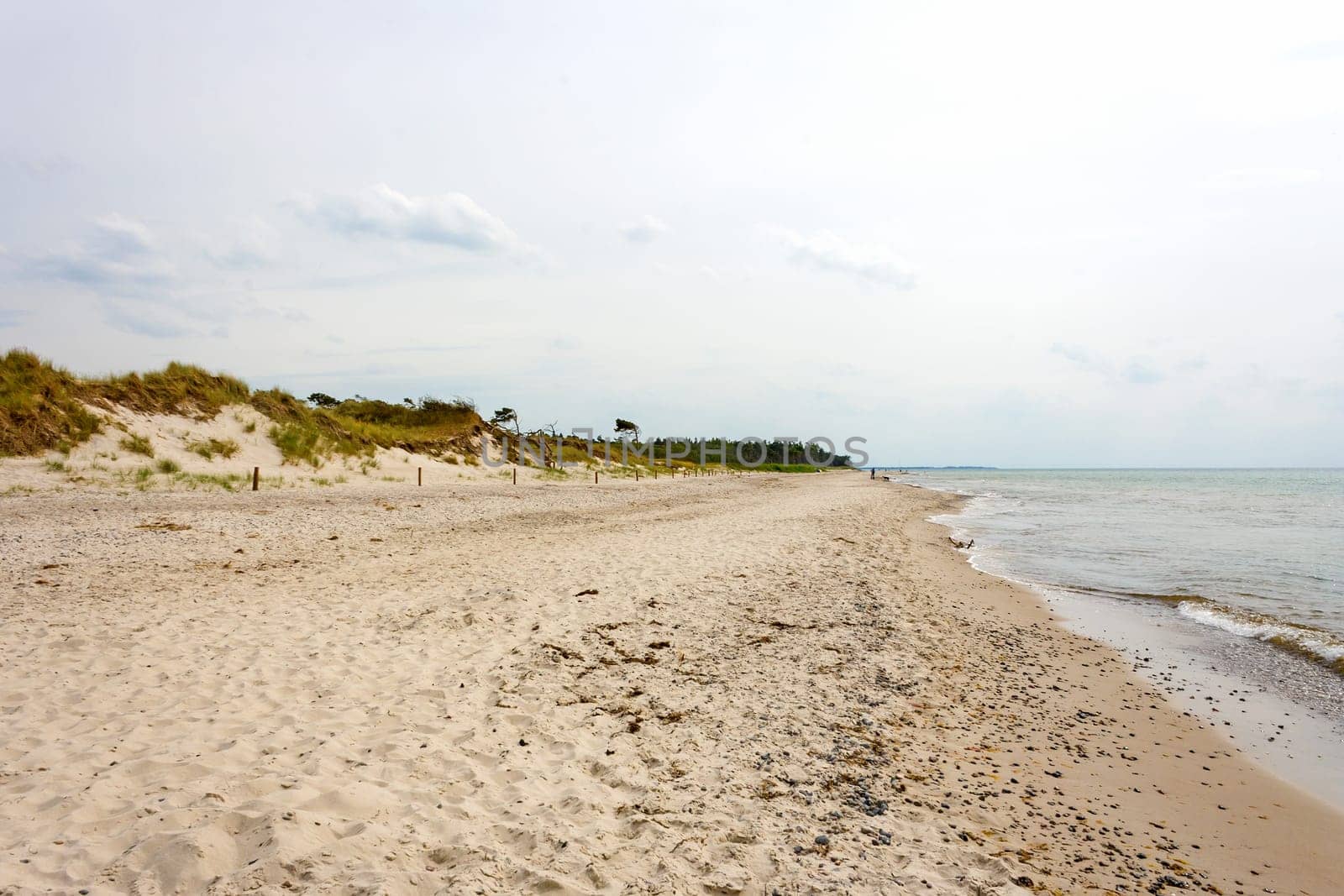 Beach at Darsser Ort, peninsula Fischland-Darss-Zingst