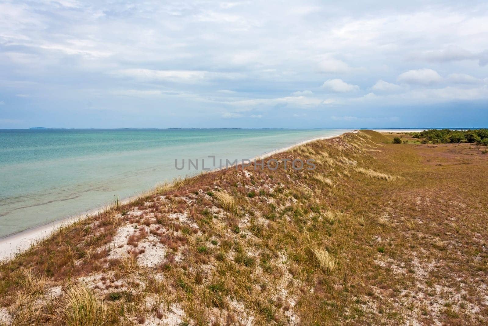 View from the observation tower at the Hohe Duene, near Pramort, Zingst, Germany