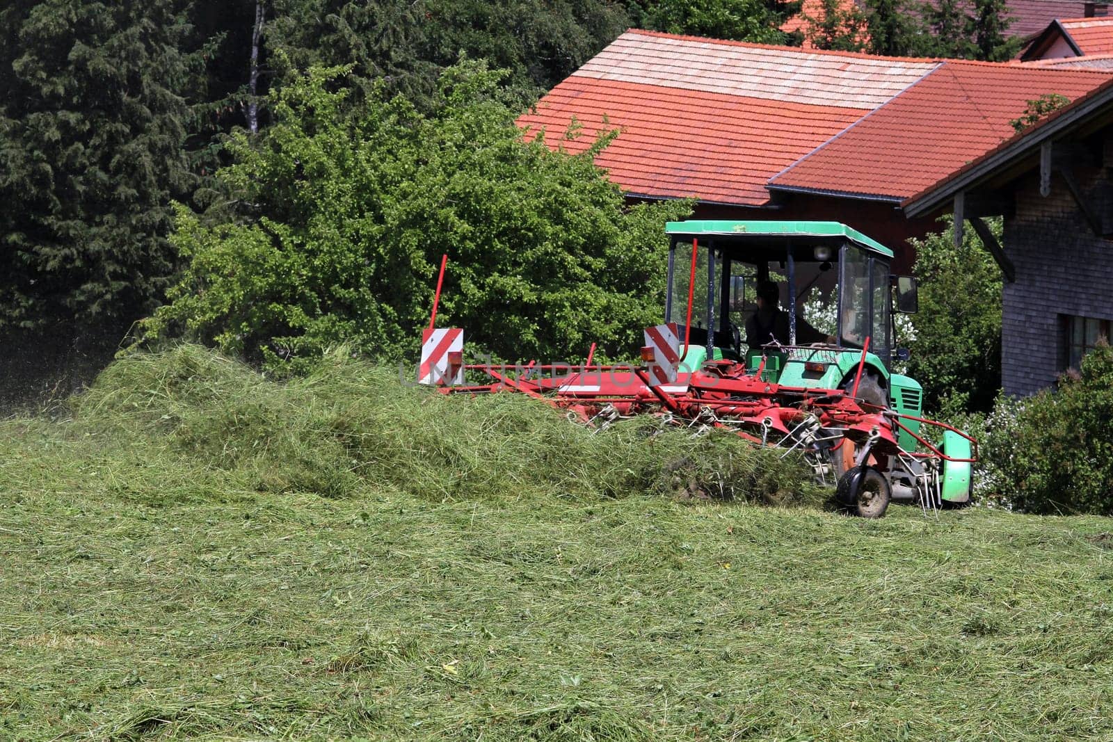 Heuernte in Bavaria