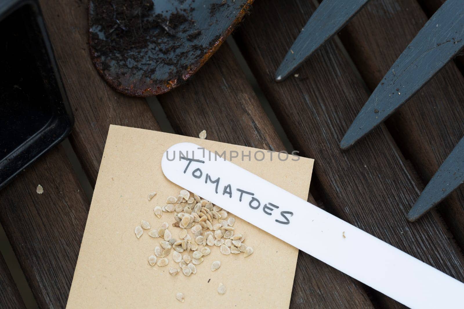 Tomato seeds ready to plant with hand written label.