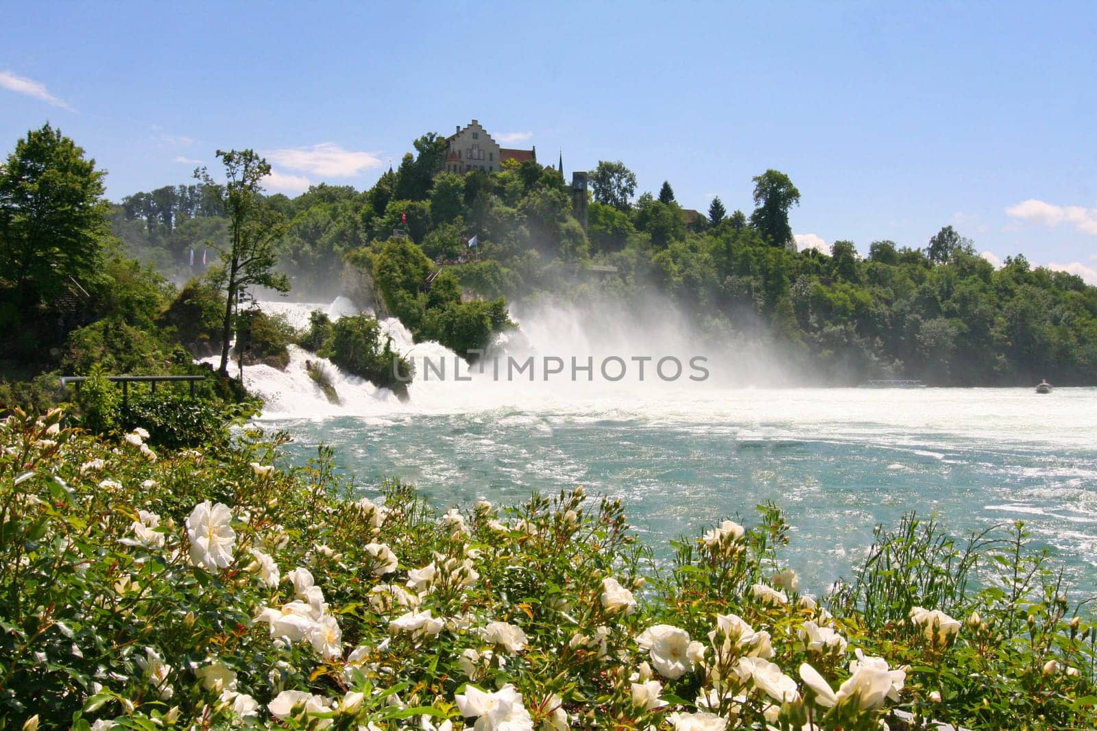 Rhine falls