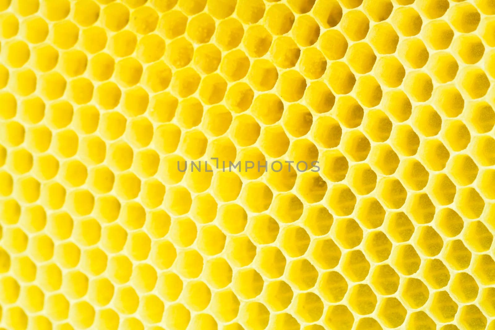 Honeycomb - close up ON texture