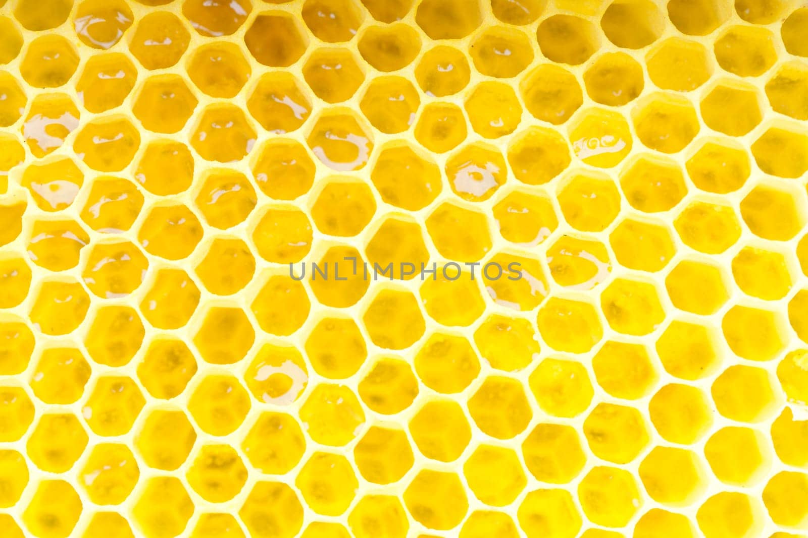 Honeycomb - close up ON texture