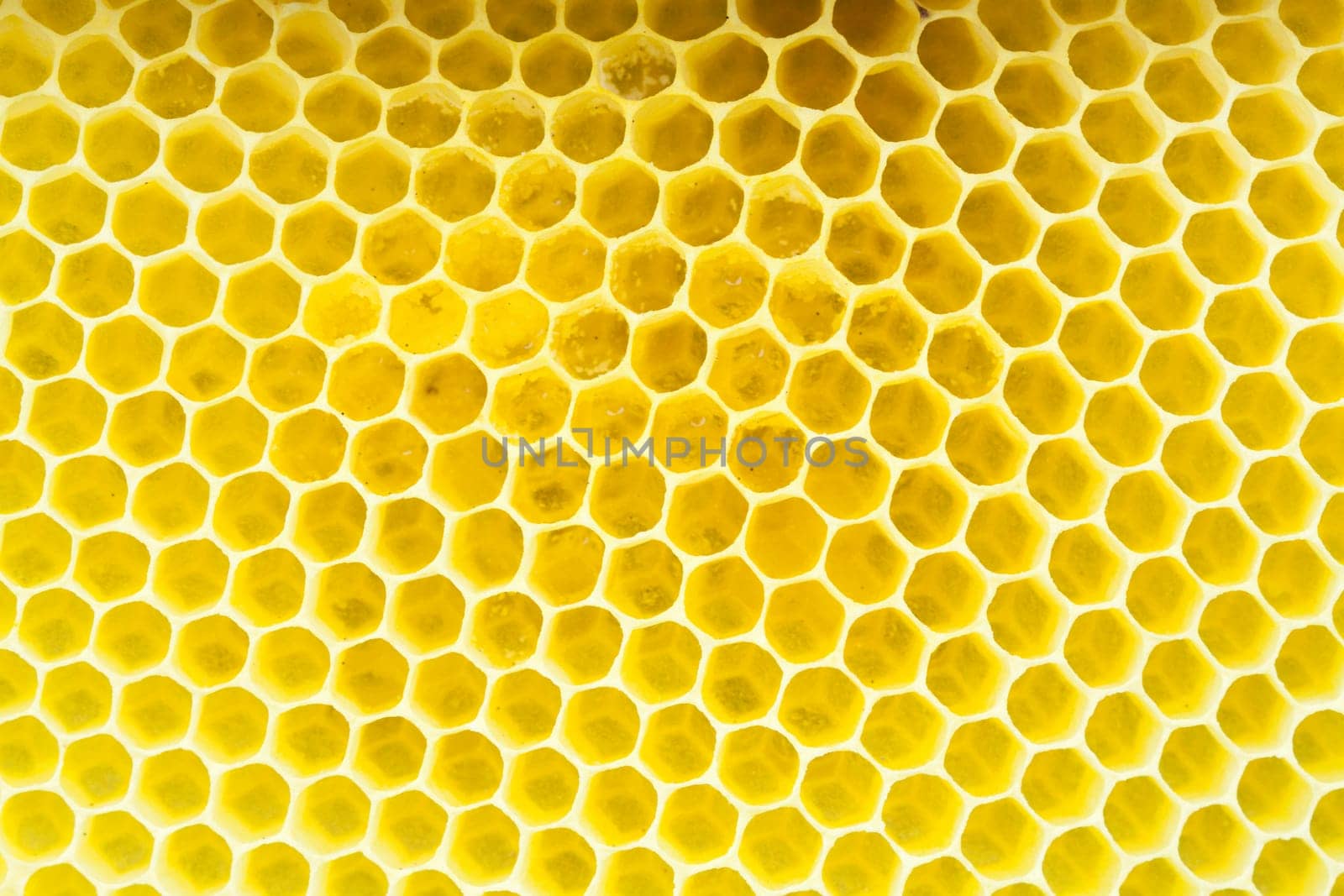 Honeycomb - close up ON texture