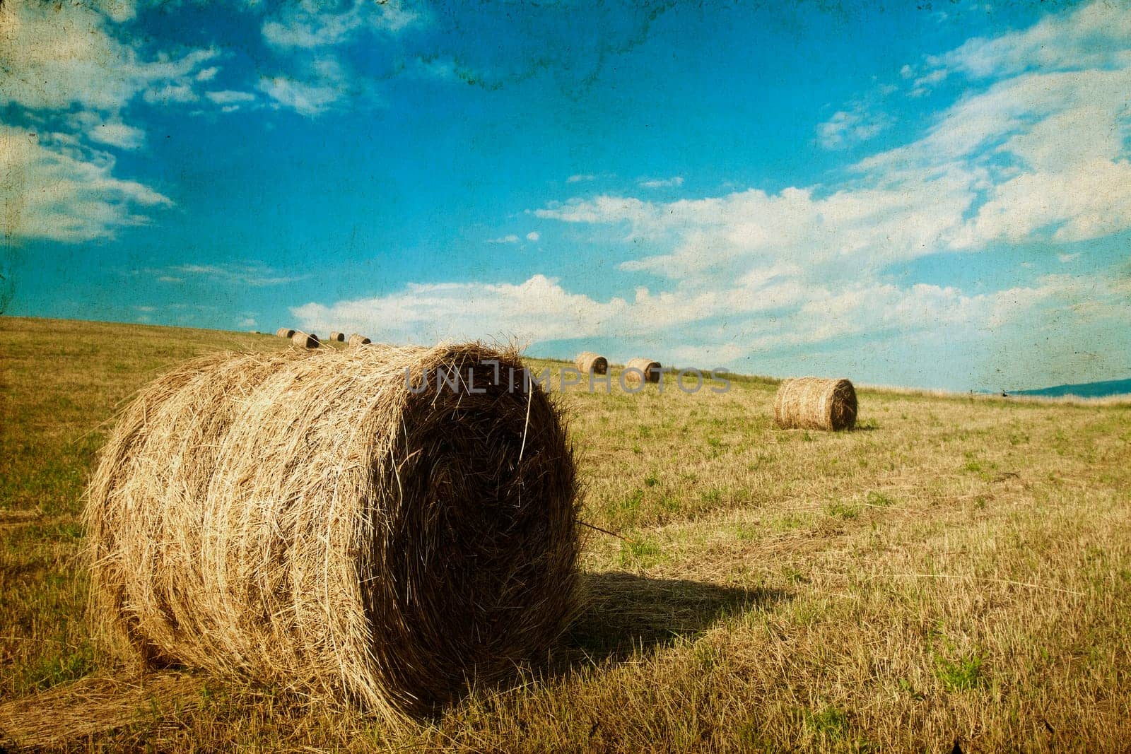 Vintage photo of hay-roll on field after harvest