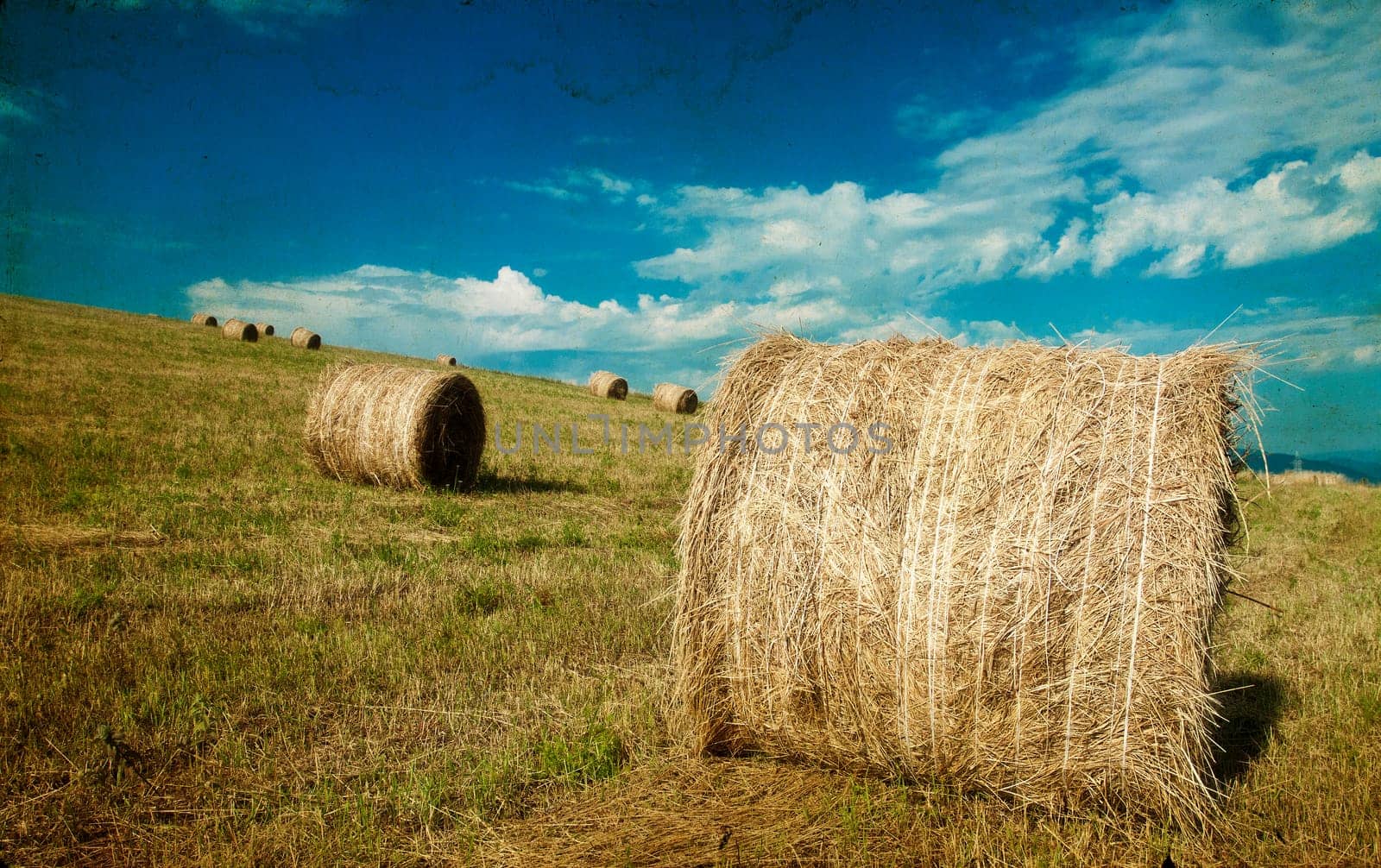 Vintage photo of hay-roll on field after harvest
