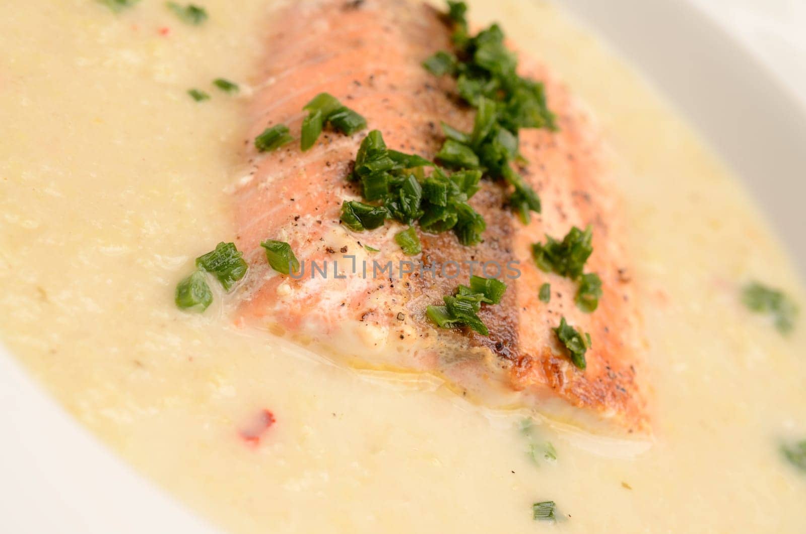 Wild salmon with creamy soup of savoy