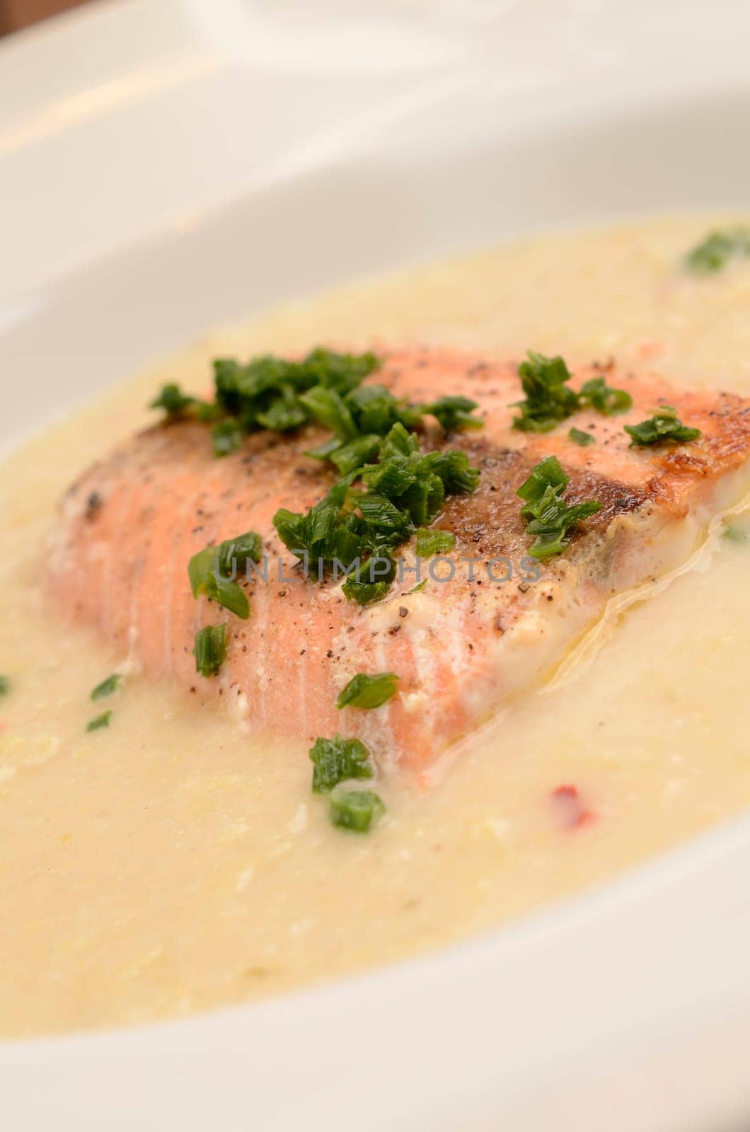 Wild salmon with creamy soup of savoy