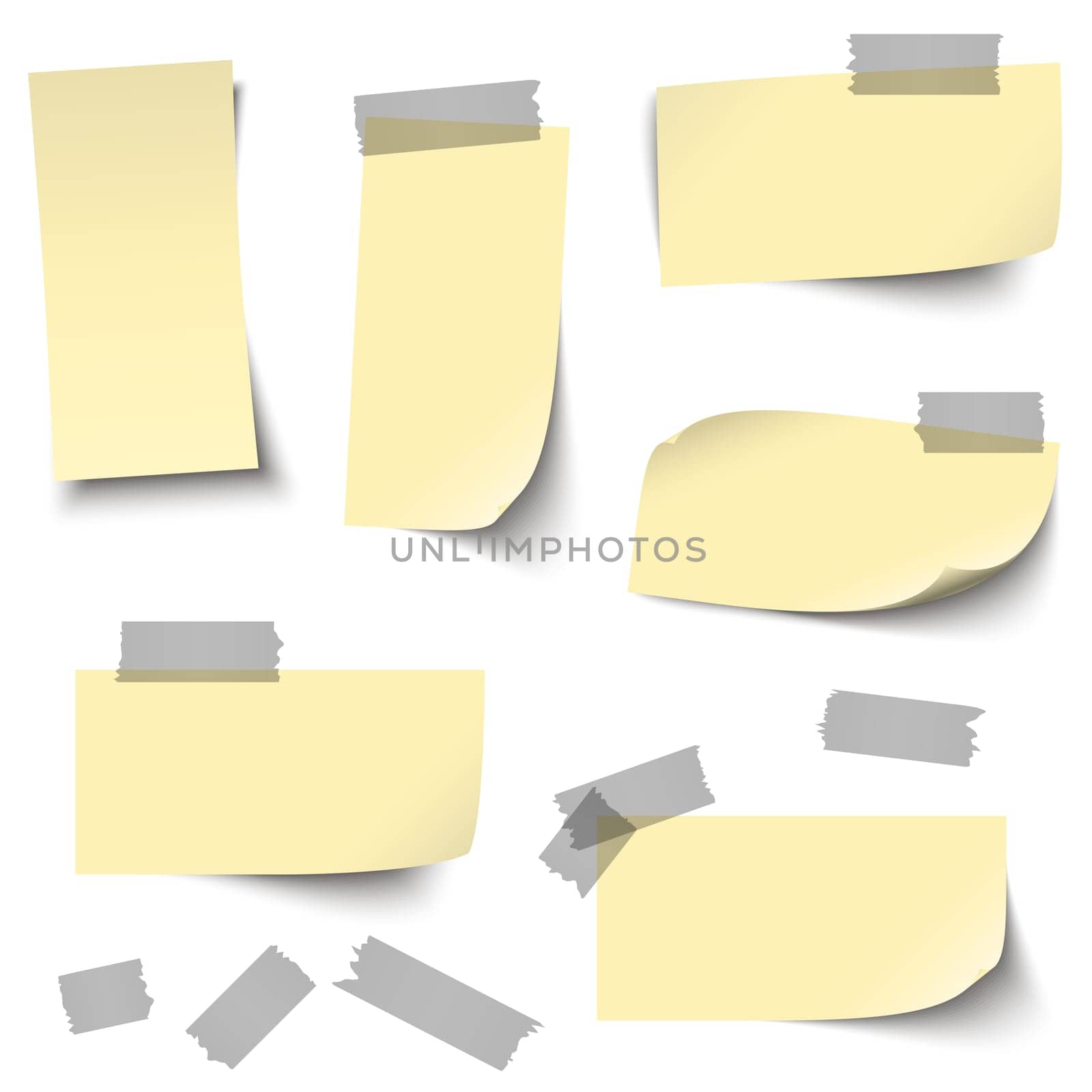 vector of empty papers collection with office accessories
