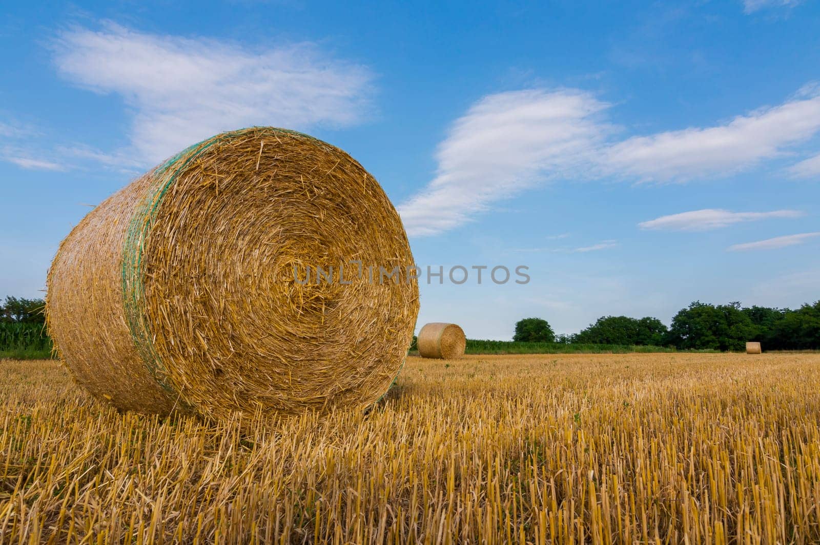 Hay bales