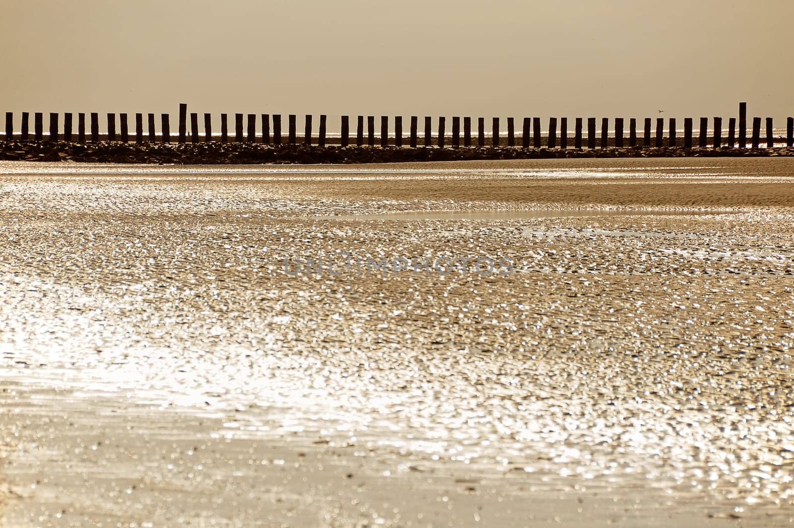 North sea
