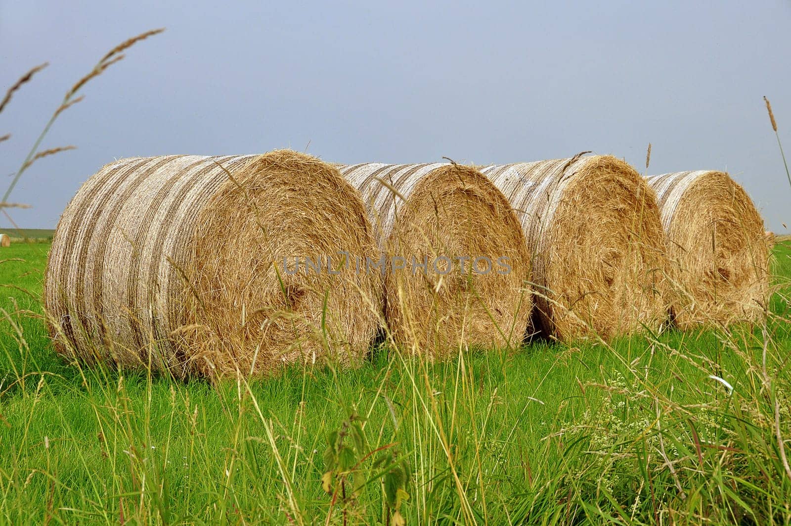 Straw bales