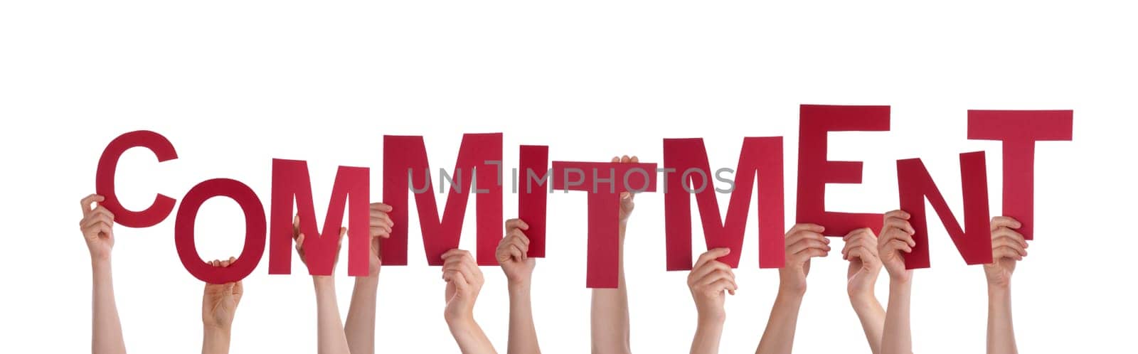 Many Hands Holding the Word Commitment, Isolated