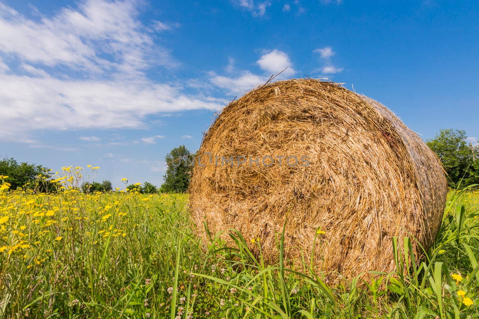 countryside and hay bales